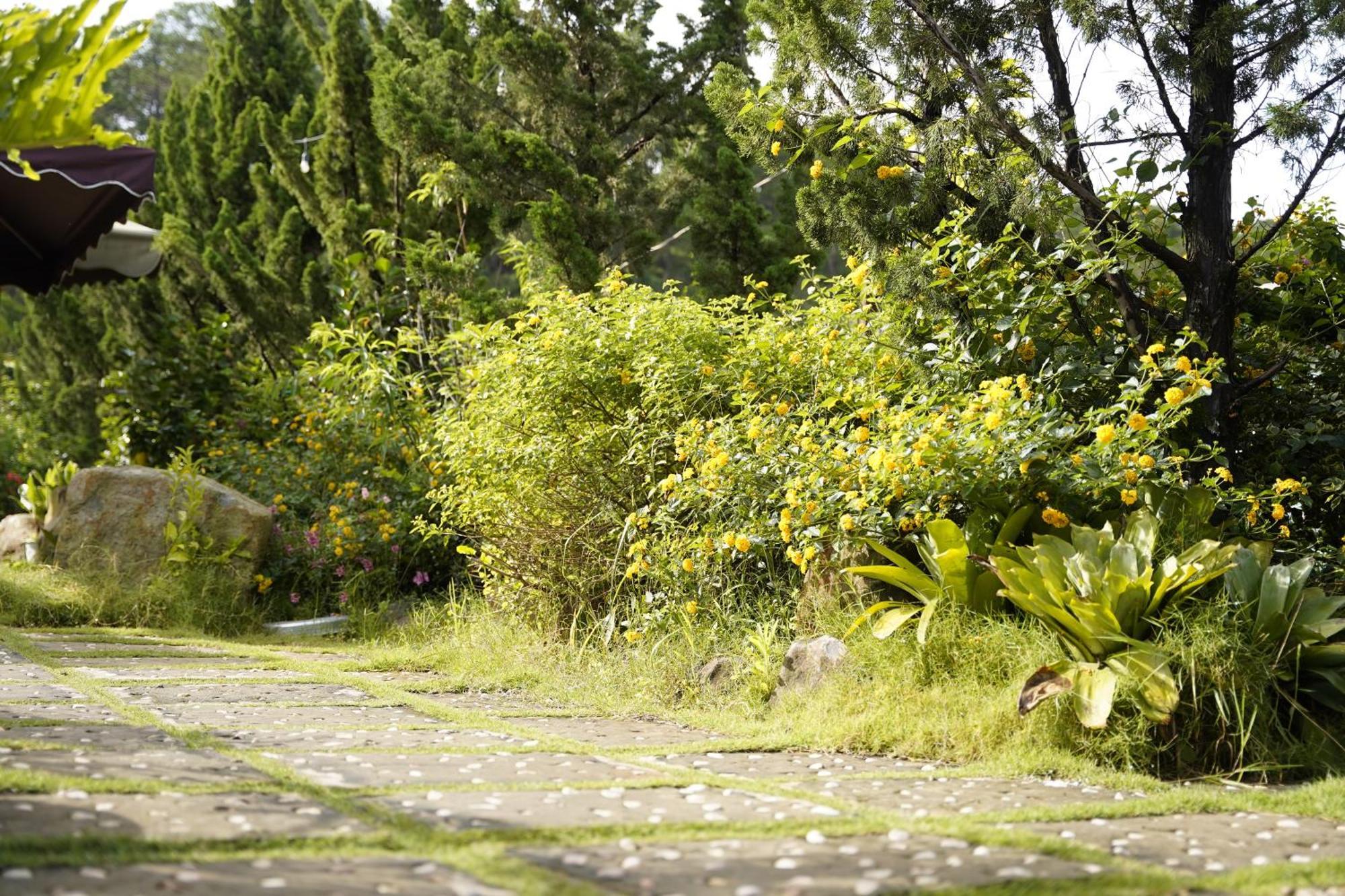 Greeneco Da Lat Hotel - Khach San Green Eco Đà Lạt Exterior foto